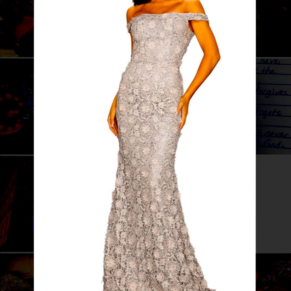 Terani Dress